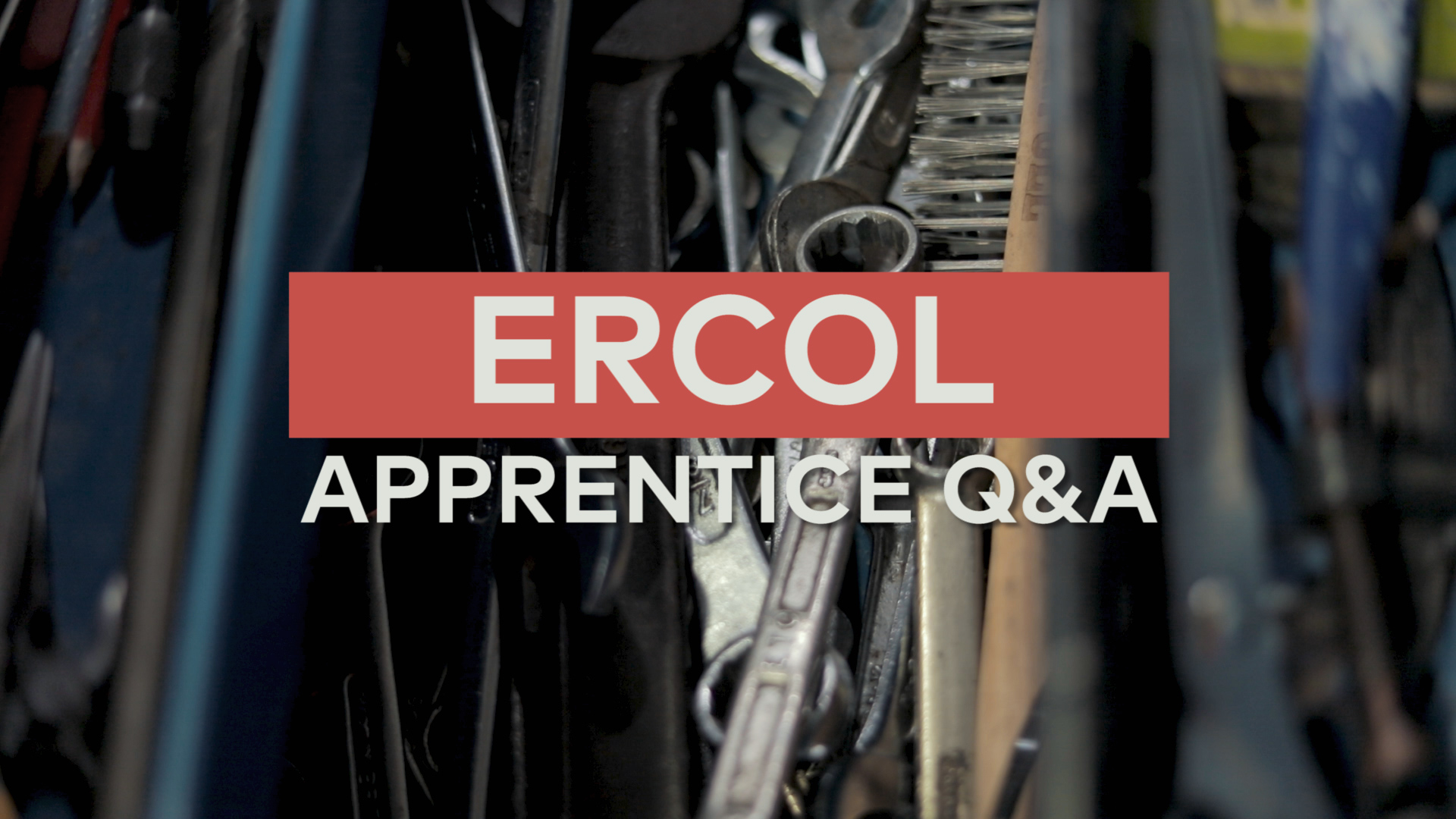 Ercol: Apprentice Q&A